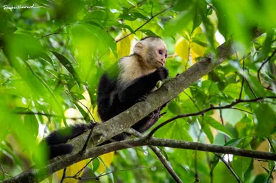 Costa Rica